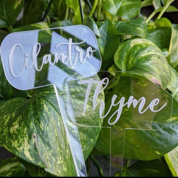 Clear acrylic garden stake markers, herb stakes, herb labels, spring reusable stakes, vegetable stakes, plant labels, acrylic stakes