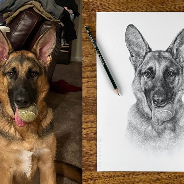 Personalized dog pencil drawing - Custom dog drawing - 100% Hand-drawn portrait.