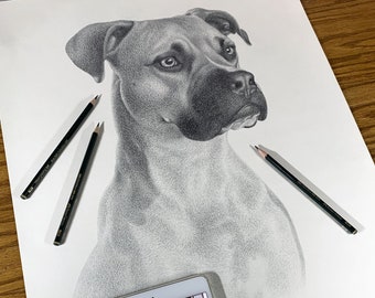 Custom pencil portrait - 18x24 inches - Special size.