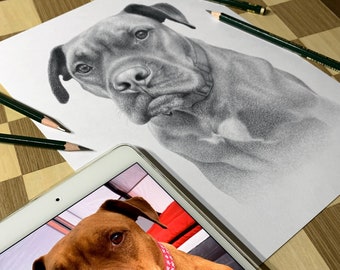 Custom Pencil drawing - Personalized portrait. 100% Handmade.