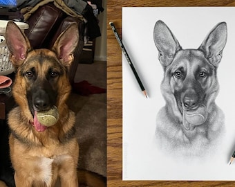 Dibujo a lápiz de perro personalizado - Dibujo de perro personalizado - Retrato 100% dibujado a mano.