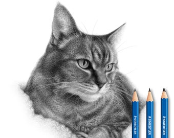 Cats Portraits - Custom drawings - Originals.