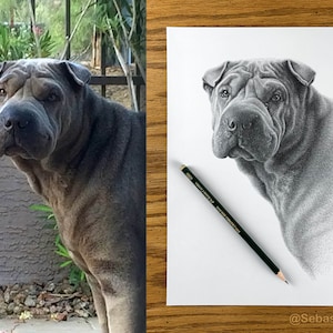 Personalized dog pencil drawing Custom dog drawing 100% Hand-drawn portrait. image 5