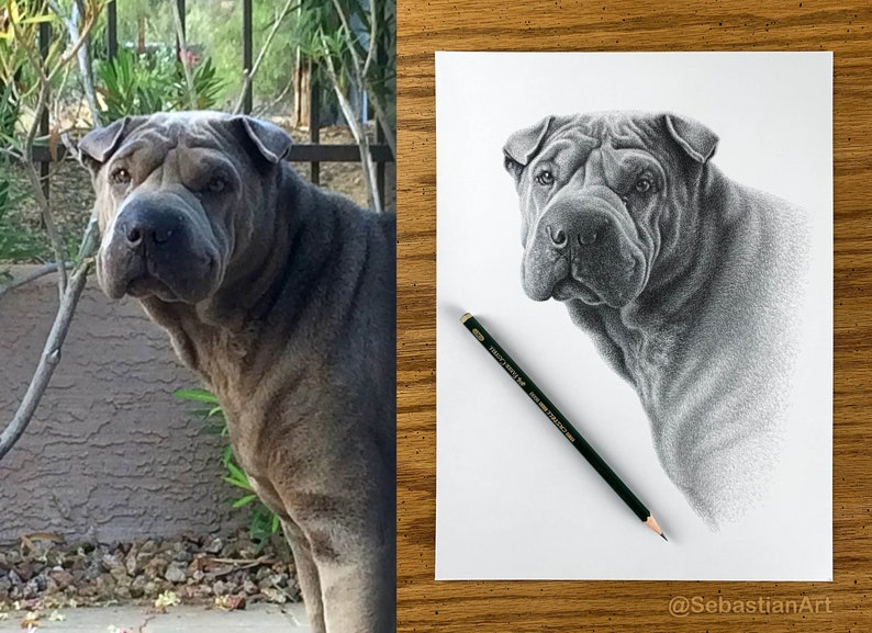 Personalized dog pencil drawing Custom dog drawing 100% Hand-drawn portrait. image 5