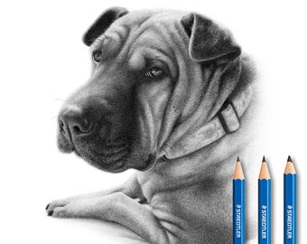 Shar Pei Custom pencil drawing - Personalized Sharpei drawing (Handmade).