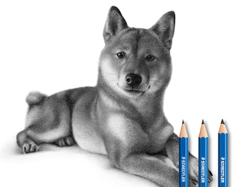 Shiba Inu Personalized pencil drawing - Custom portrait (100% handmade)