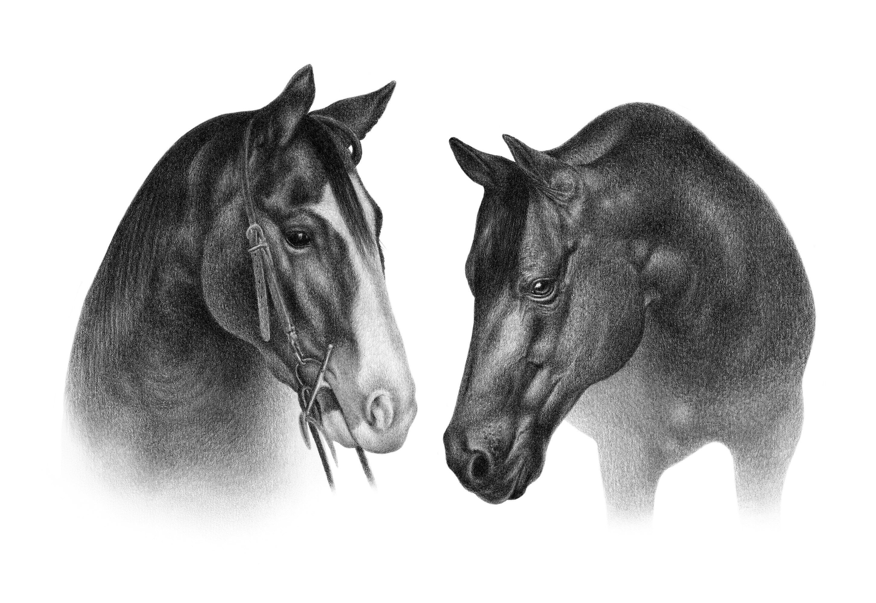 カスタム馬の鉛筆画 - パーソナライズされた馬のイラスト。 - Etsy 日本 カスタム馬の鉛筆画 - パーソナライズされた馬のイラスト。 - Etsy 日本