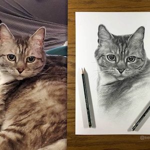 May include: A side-by-side comparison of a tabby cat and a realistic pencil drawing of the cat. The drawing is on white paper with two pencils lying next to it. The artist's Instagram handle is written at the bottom of the paper: @sebastianart.