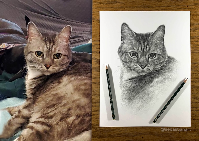 May include: A side-by-side comparison of a tabby cat and a realistic pencil drawing of the cat. The drawing is on white paper with two pencils lying next to it. The artist's Instagram handle is written at the bottom of the paper: @sebastianart.