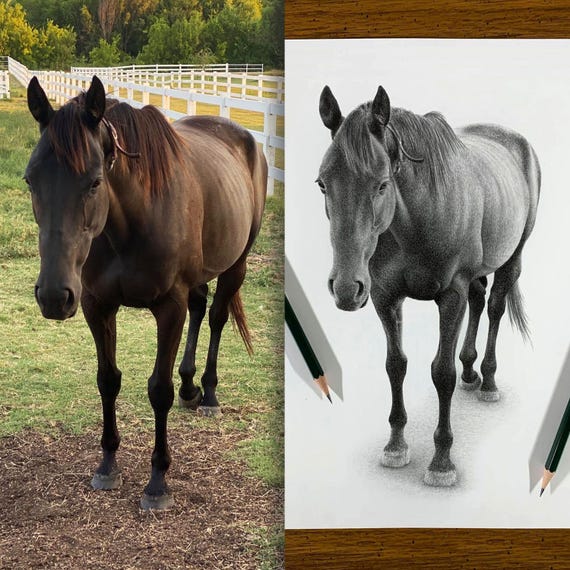 馬のスケッチ - カスタムの馬の鉛筆画 - デジタルではありません