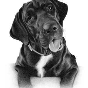Black dog sketch Custom pencil drawing 100% Handmade image 2