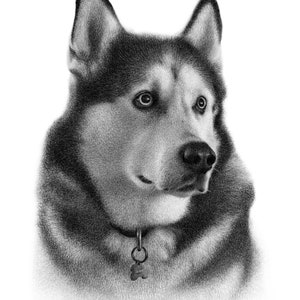 Personalized dog pencil drawing Custom dog drawing 100% Hand-drawn portrait. image 10