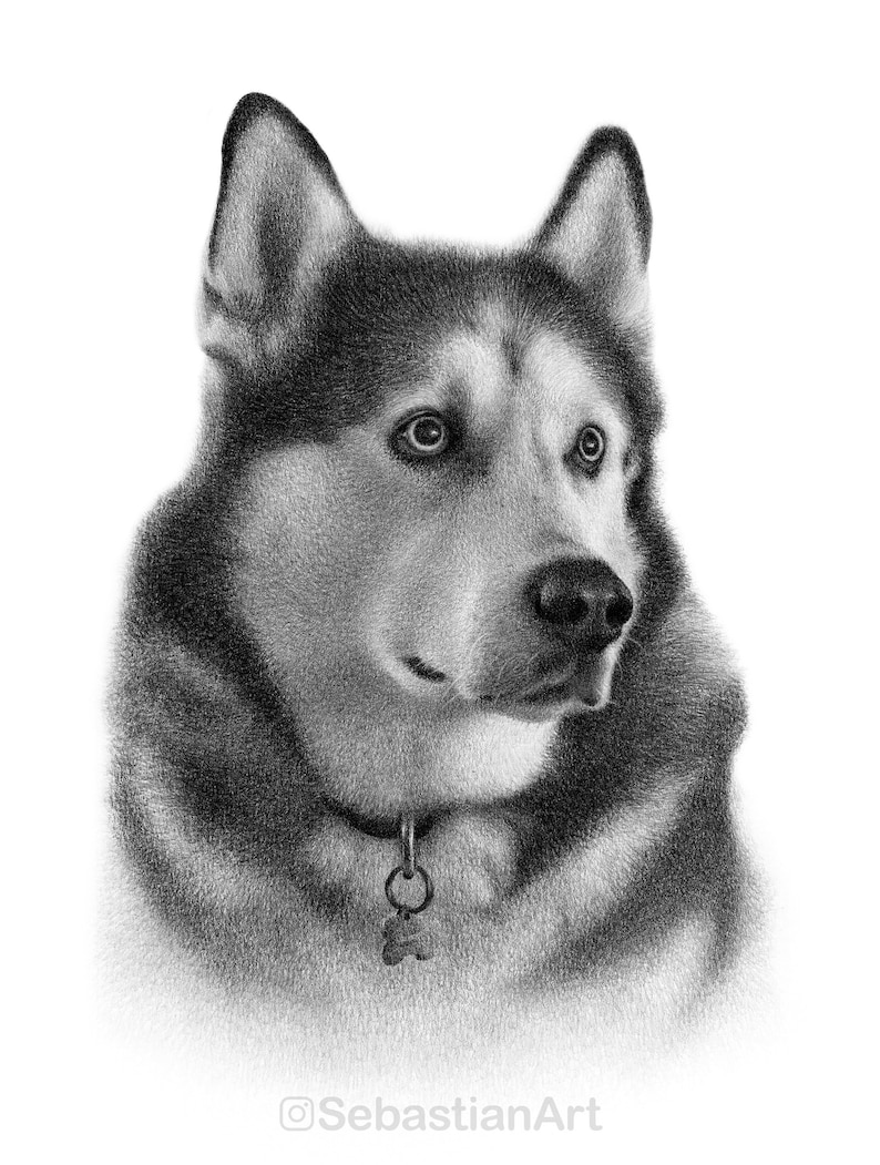 Personalized dog pencil drawing Custom dog drawing 100% Hand-drawn portrait. image 10