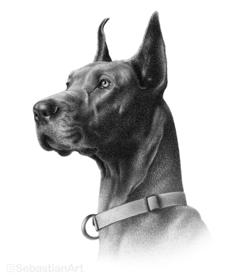 Personalized dog pencil drawing Custom dog drawing 100% Hand-drawn portrait. image 7