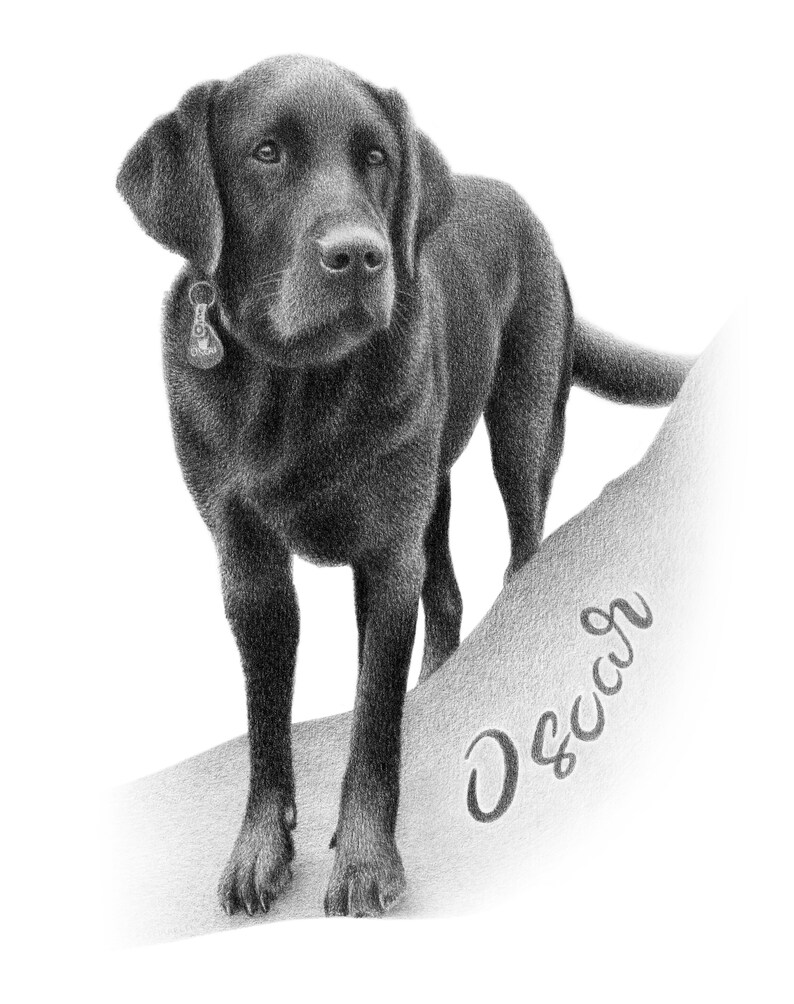 Personalized Pet Pencil Drawing with Name. Urns & Memorials Pet Supplies