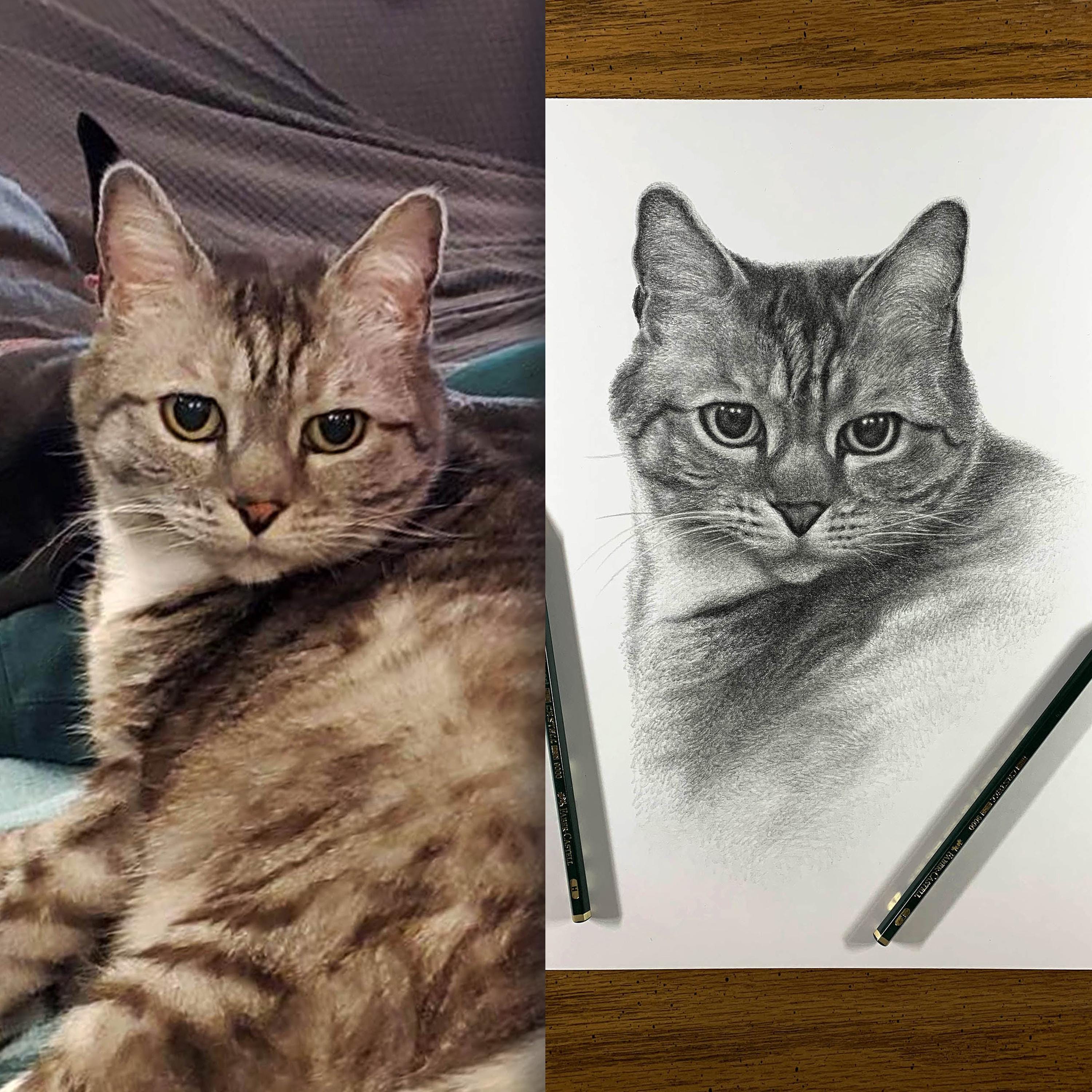 写真からパーソナライズされた猫の鉛筆画（100% 手作り、デジタルでは