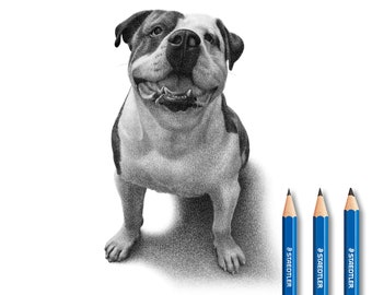 Personalized Art - Hand drawn portrait - 100% Handmade.