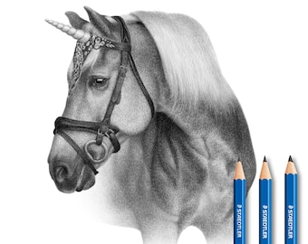 Equine Custom Pencil Drawing from photo - 100% Handmade.