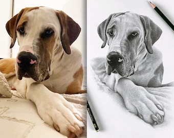 Personalisierte Hundezeichnung - Individuelle Hundezeichnung - 100% Handgezeichnetes Porträt (Nicht digital).