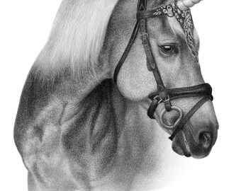 馬のスケッチ - カスタムの馬の鉛筆画 - デジタルではありません