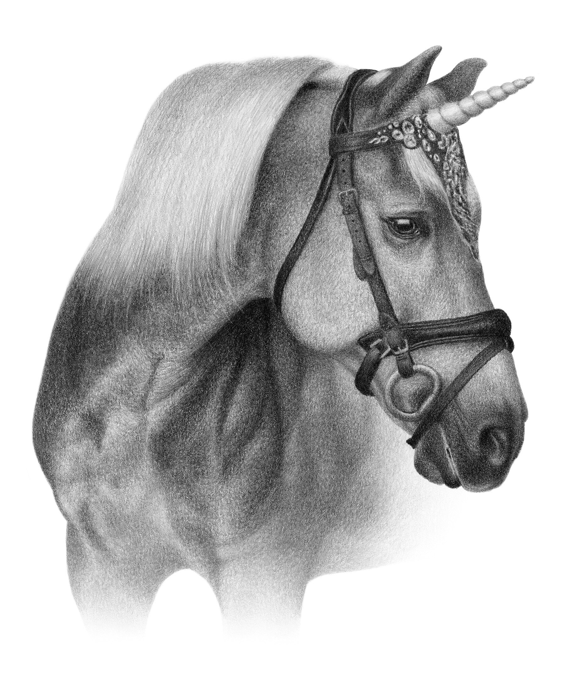馬のスケッチ - カスタムの馬の鉛筆画 - デジタルではありません