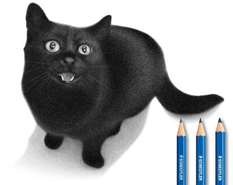 Personalized cat drawing - Custom pencil portrait.