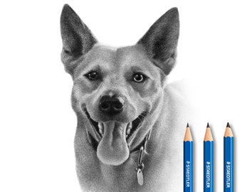 Pet custom portrait - Pet memorial - 100% Handmade (Not AI)
