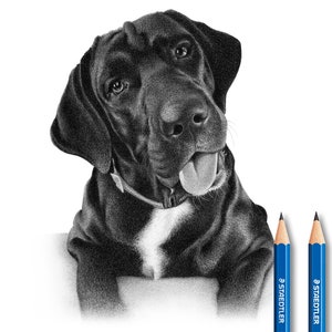 Black dog sketch - Custom pencil drawing (100% Handmade)