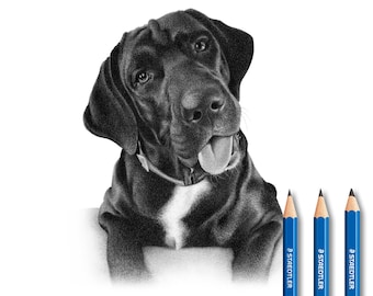 Black dog sketch - Custom pencil drawing (100% Handmade)