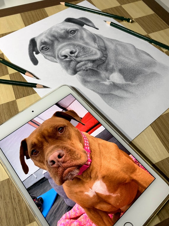 Custom Pencil drawing - Personalized portrait. 100% Handmade.