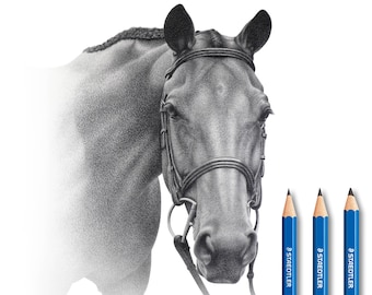 Horse pencil drawing - Custom portrait.