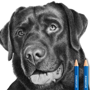Custom Pet portrait - (Pencil artwork) - Personalized Pet Drawing from Photo!