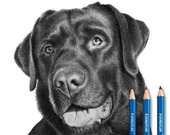 Retrato de mascota personalizado - (Obra de arte en lápiz) - ¡Dibujo de mascota personalizado a partir de una foto!