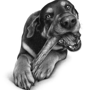 Black dog sketch Custom pencil drawing 100% Handmade image 6