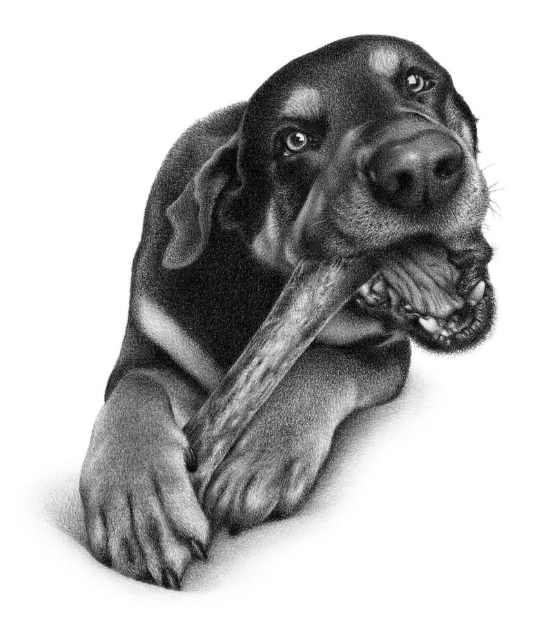 Black dog sketch Custom pencil drawing 100% Handmade image 6