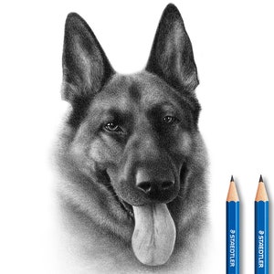Pet drawing from photo - Original pet portrait.