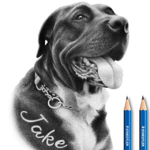 Personalized Pet Pencil Drawing with Name.