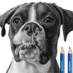 Personalized Pet Gift - Custom Pencil Drawing.