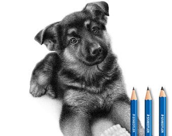 Custom Puppy Drawing - Personalized Puppy Drawing.