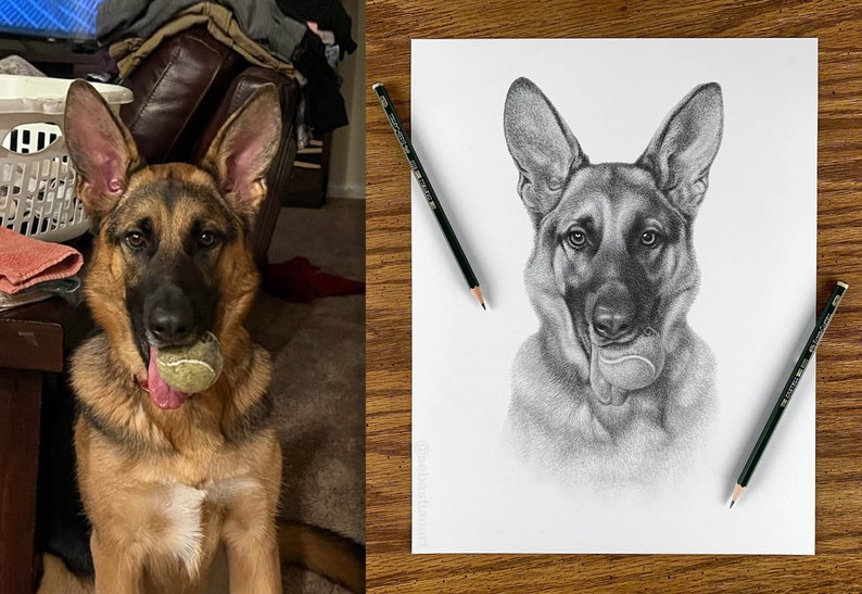 Personalized dog pencil drawing Custom dog drawing 100% Hand-drawn portrait. image 1