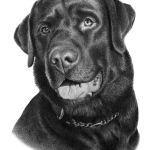 Black dog sketch Custom pencil drawing 100% Handmade image 7