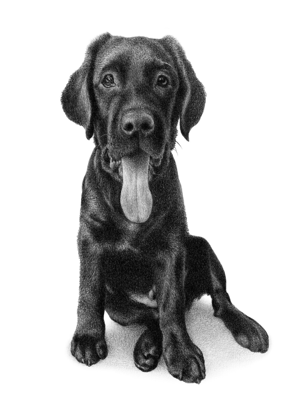 Labrador Pencil Drawing Custom Lab Drawings 100% Handmade. - Etsy