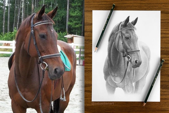カスタム馬の鉛筆画 - パーソナライズされた馬のイラスト。 - Etsy 日本