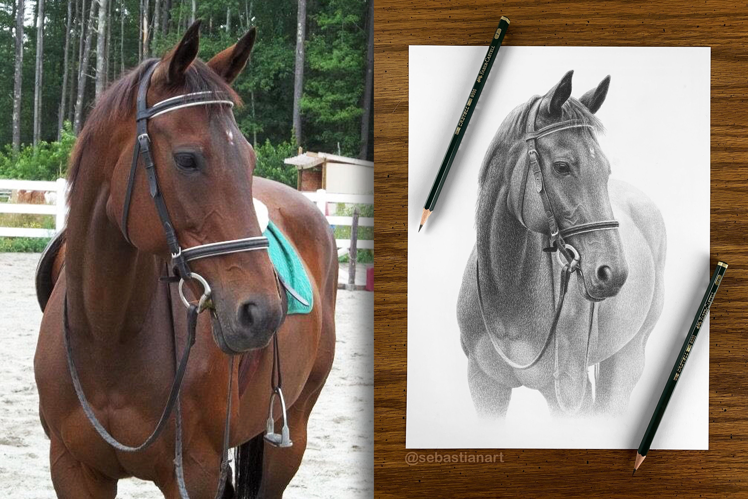 カスタム馬の鉛筆画 - パーソナライズされた馬のイラスト