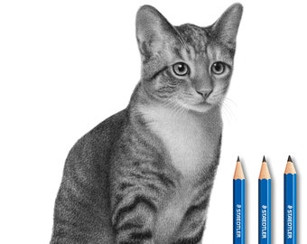Tabby Cat Pencil  Portrait - Commission your custom Cat Drawing from Photo! -  Not digital.
