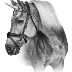 K&ouml;nnte beinhalten: Eine Schwarzwei&szlig;-Bleistiftzeichnung eines Einhorns mit einem silbernen Horn und einem schwarzen Lederzaumzeug. Das Einhorn hat eine lange wei&szlig;e M&auml;hne und einen wei&szlig;en Schweif.