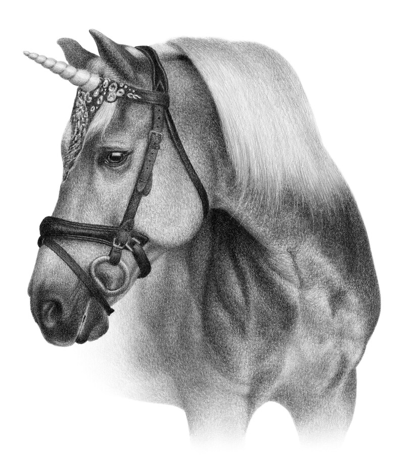 K&ouml;nnte beinhalten: Eine Schwarzwei&szlig;-Bleistiftzeichnung eines Einhorns mit einem silbernen Horn und einem schwarzen Lederzaumzeug. Das Einhorn hat eine lange wei&szlig;e M&auml;hne und einen wei&szlig;en Schweif.