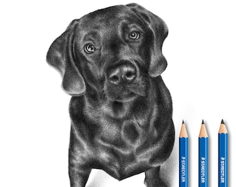 Labrador drawing - 100% handmade - Personalized.