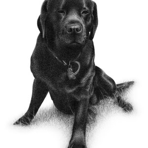 Black dog sketch Custom pencil drawing 100% Handmade image 4