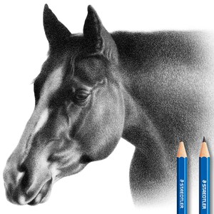 Custom Horse Pencil Drawing - Personalized Horse Illustration.